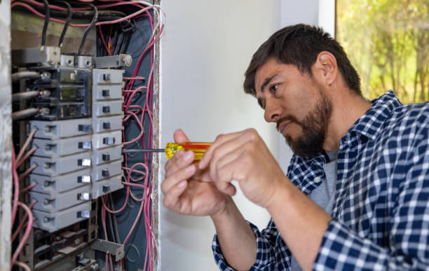 Best Ceiling Fan Installation Electrician  in Naco, AZ